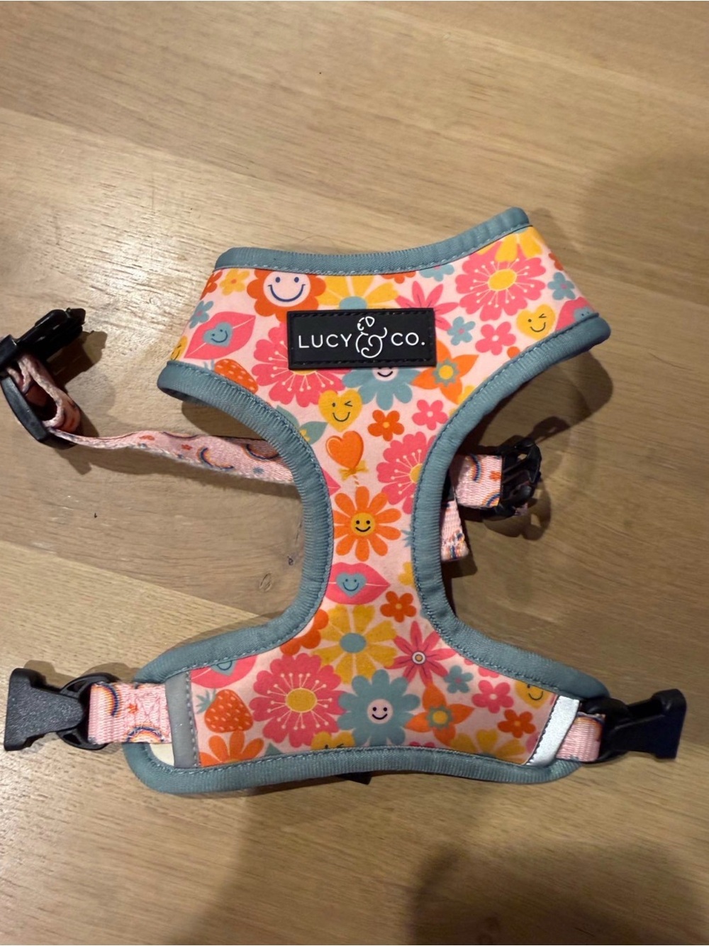 Lucy & Co. Dog Harness XS
